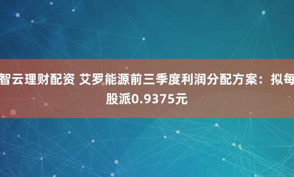 智云理财配资 艾罗能源前三季度利润分配方案：拟每股派0.9375元